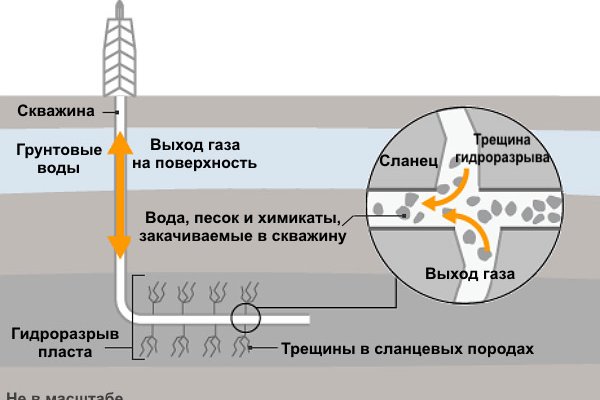 Гидра кракен