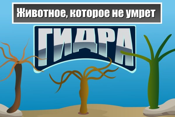 Можно ли вывести деньги с кракена