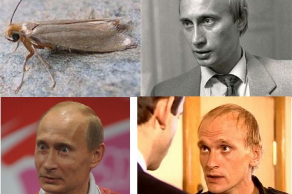 Kraken даркнет gigageek ru