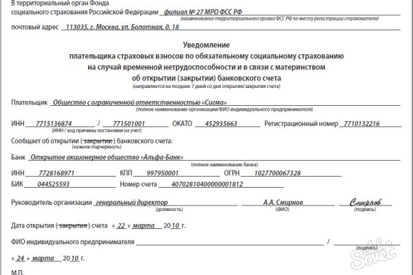 Кракен тгк