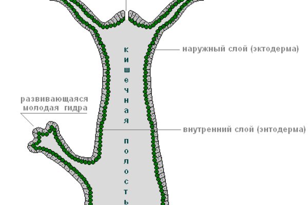 Как зайти на кракен дарк